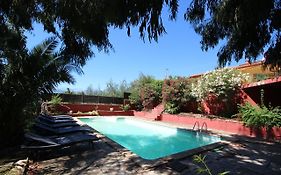 Gîte des Orgues de la Sybille Agave Canigou